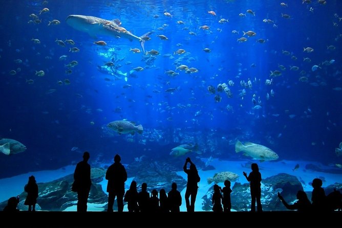 Discover Pattaya Underwater World With FREE Hotel Pickup - Common Questions
