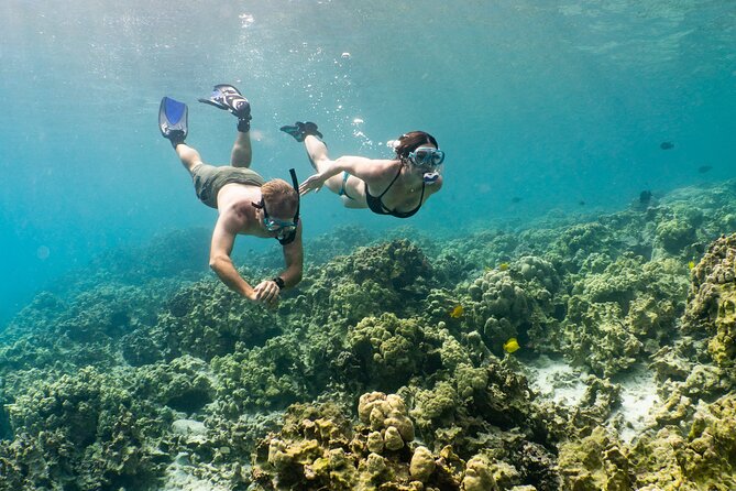 Discover Pawai Afternoon Reef Snorkel - Snorkeling Equipment and Meeting Details