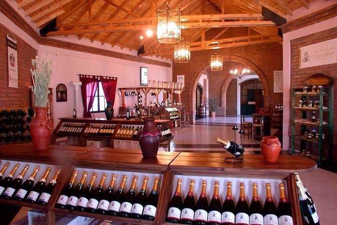 Discover Pocito's Wineries: Small Group Adventure - Group Size and Attention