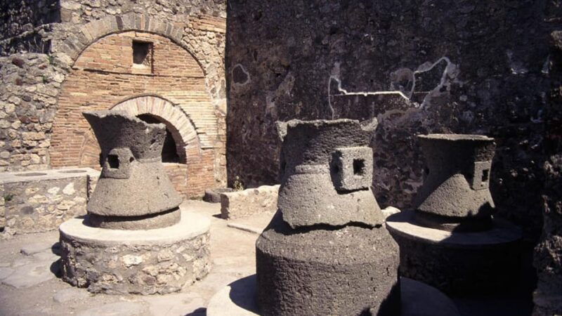 Discover Pompeii, Herculaneum and taste the wines of Vesuvius in a unique experience - An In-Depth Look at the Tour