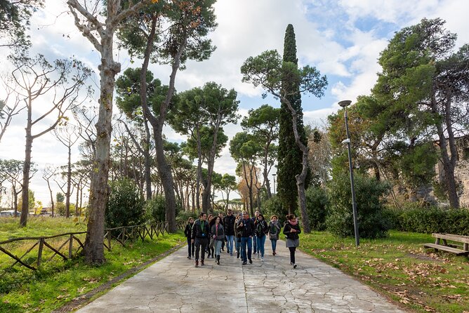 Discover Pompeii, Sorrento & Capri in a 3-Day Escape From Rome - Positive Reviews and Feedback