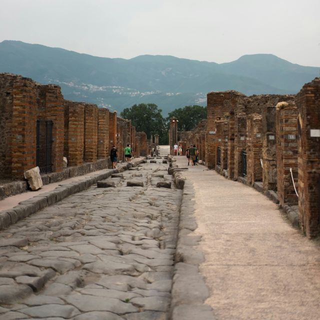 Discover Pompeii: Walking Tour Through the Buried City - Tour Pricing and Details