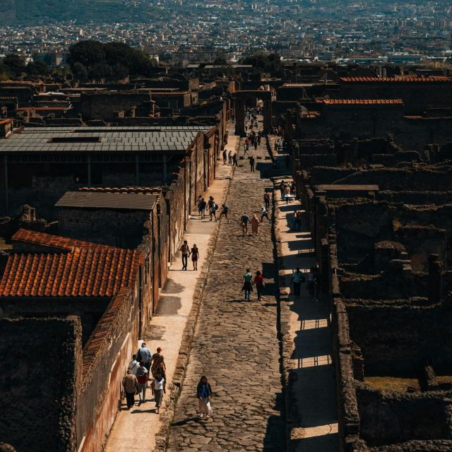 Discover Pompeii: Walking Tour Through the Buried City - Meeting Point and Directions