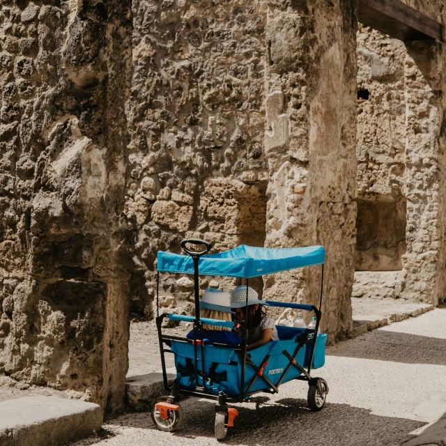 Discover Pompeii: Walking Tour Through the Buried City - Booking and Reservation