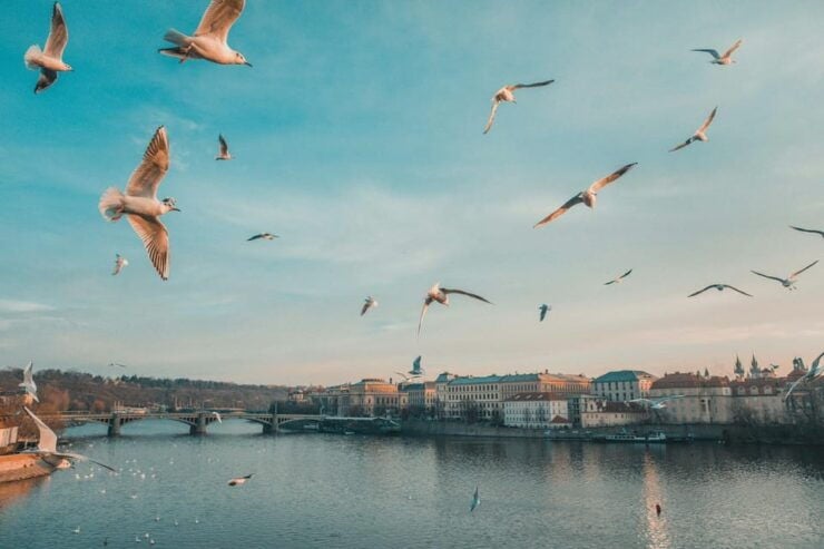 Discover Prague – 4 Hours Tour - Booking Information