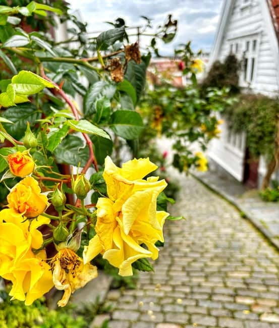 Discover Private+ Stavanger Guided City Tour - Why the Tour Is a Good Deal  