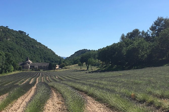 Discover Provence Including Avignon and Luberon Villages From Avignon - Avignon: The Gateway to Provence