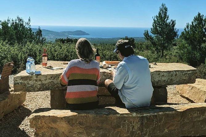 Discover Provence Including Avignon and Luberon Villages With a Local Guide - Comfortable Transportation