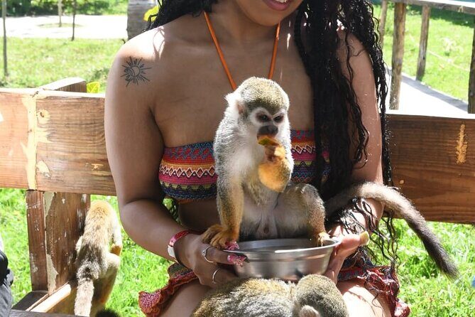 Discover Puerto Plata: City Tour and Monkey Jungle - Who is This Tour Best For?