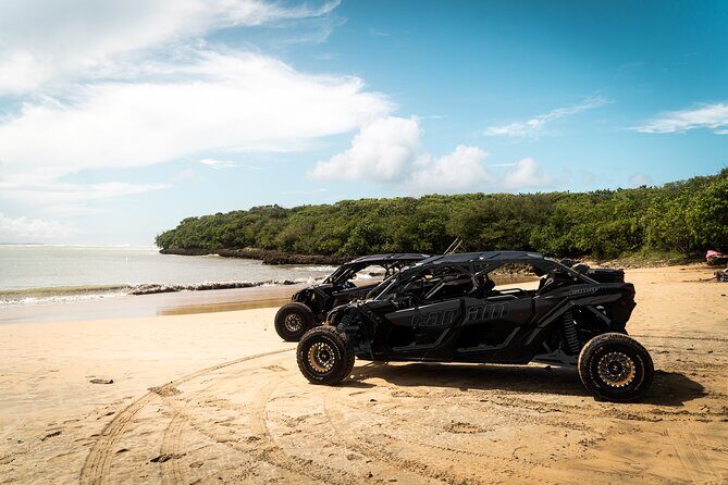 Discover Puerto Rico Like a Local 4 Hour Private Beach Escape - Discover Puerto Rico Like a Local 4 Hour Private Beach Escape: An Honest Review