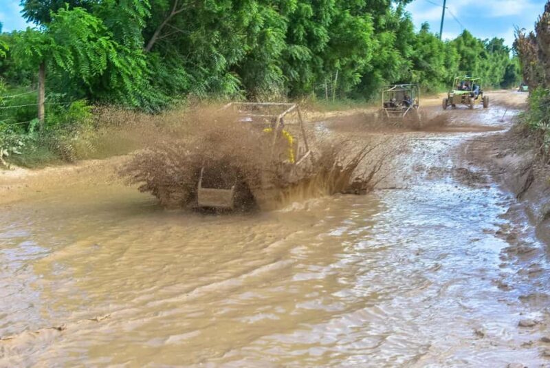 Discover Punta Cana: Buggy Tour, El Macao Beach, Blue Cenote - Good To Know