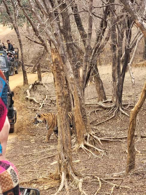 Discover Rajastan - Exploring Rajasthan with a Private Driver