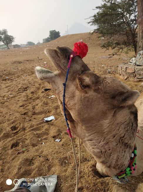 Discover Rajastan - FAQ