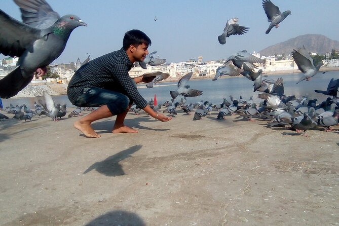 Discover Rajasthan: Jaipur, Pushkar, and Udaipur in 6 Days! - Customer Reviews