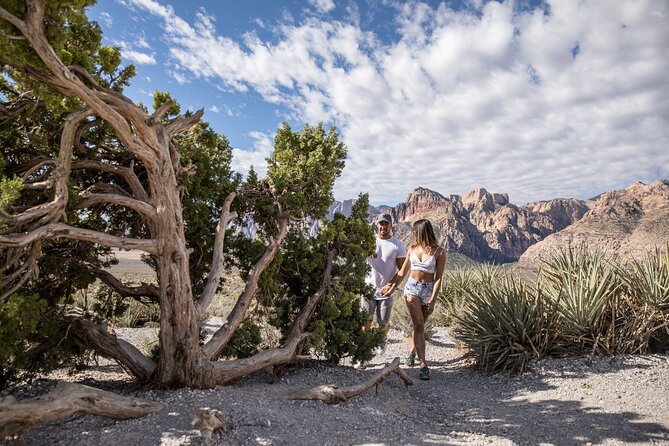 Discover Red Rock Canyon by Scooter - Overview of Red Rock Canyon
