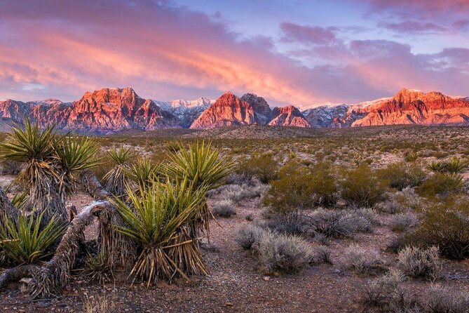 Discover Red Rock Canyon by Scooter - Important Information for Participants