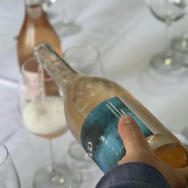 Discover Regenerative Viticulture at Casa Klocker Prambs - Discover Regenerative Viticulture at Casa Klocker Prambs