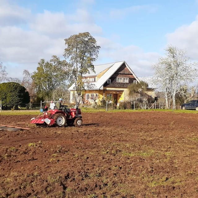 Discover Regenerative Viticulture at Casa Klocker Prambs - An In-Depth Look at the Tour Experience