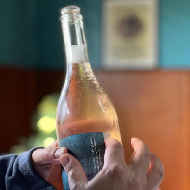 Discover Regenerative Viticulture at Casa Klocker Prambs - Why This Tour Is a Great Choice