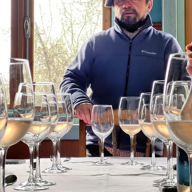 Discover Regenerative Viticulture at Casa Klocker Prambs - The Sum Up