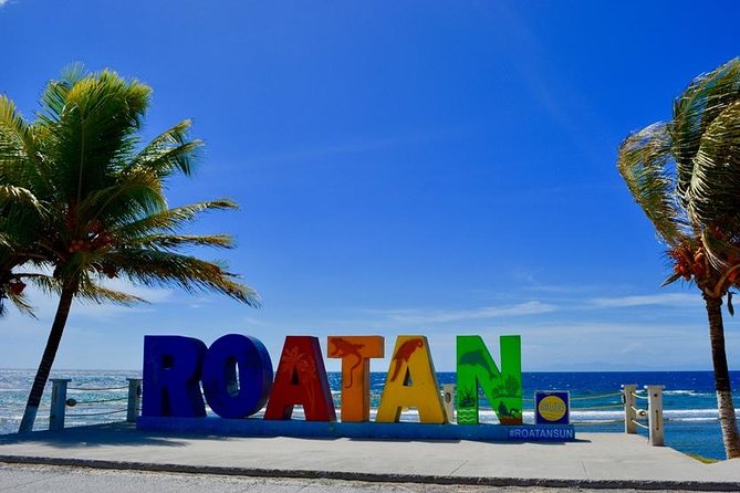 Discover Roatan - Visiting the Different Cultural Villages of Roatan! - Oak Ridge: Explore Mangrove Tunnels
