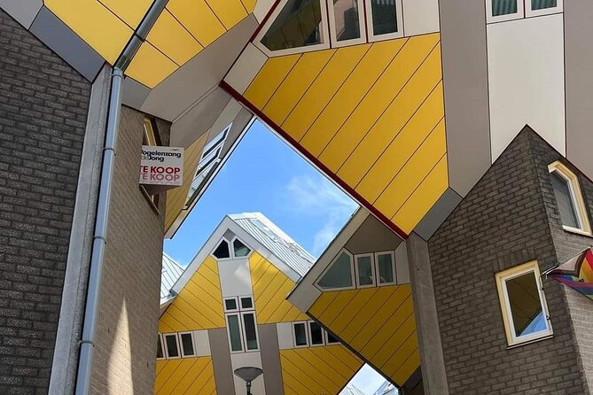 Discover Rotterdam With a Private Local Guide - The Sum Up