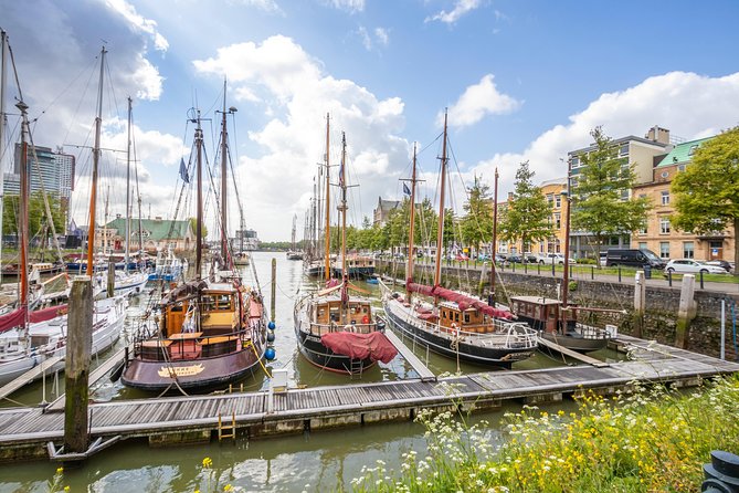 Discover Rotterdam'S Most Photogenic Spots With a Local - Exploring Rotterdams Stunning Waterfront Views