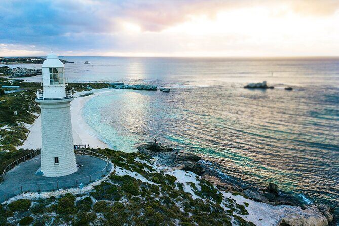 Discover Rottnest with Ferry & Bus Tour - What Travelers Say