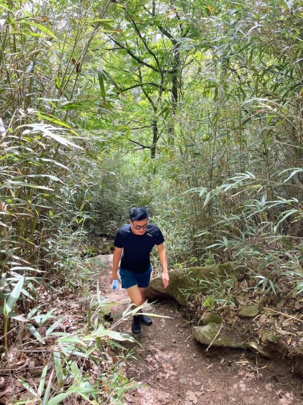 Discover Sacred Trails to Yongjangsa at Gyeongju's Namsan Mt - An In-Depth Look at the Sacred Trails to Yongjangsa