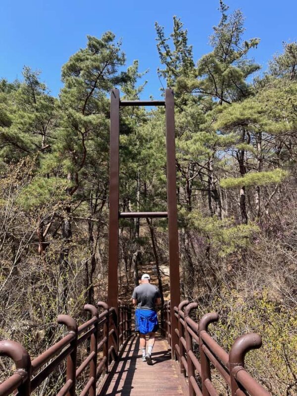 Discover Sacred Trails to Yongjangsa at Gyeongju's Namsan Mt - Good To Know