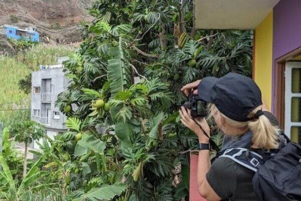 Discover Santo Antão in 1-Day Trip - Background