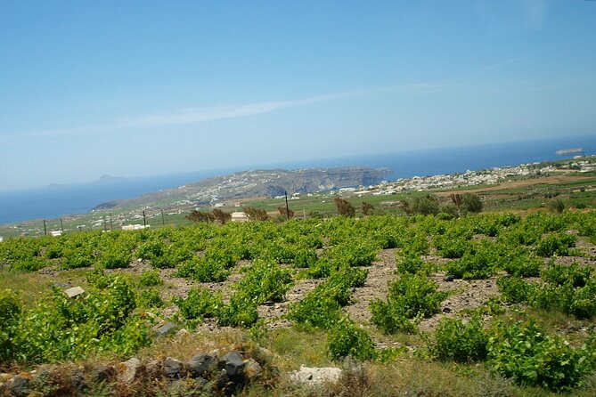 Discover Santorini - Reviews