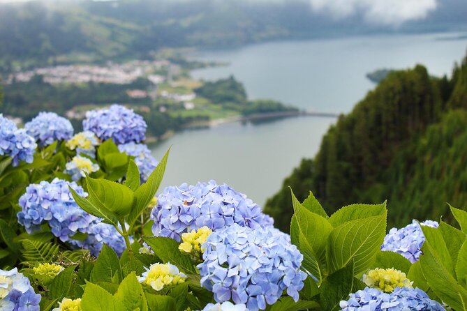 Discover São Miguel: Full Day Fogo and Sete Cidades With Lunch - Reviews and Ratings