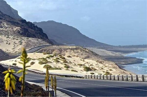 Discover São Vicente in 1 Day With Lunch Included - Frequently Asked Questions