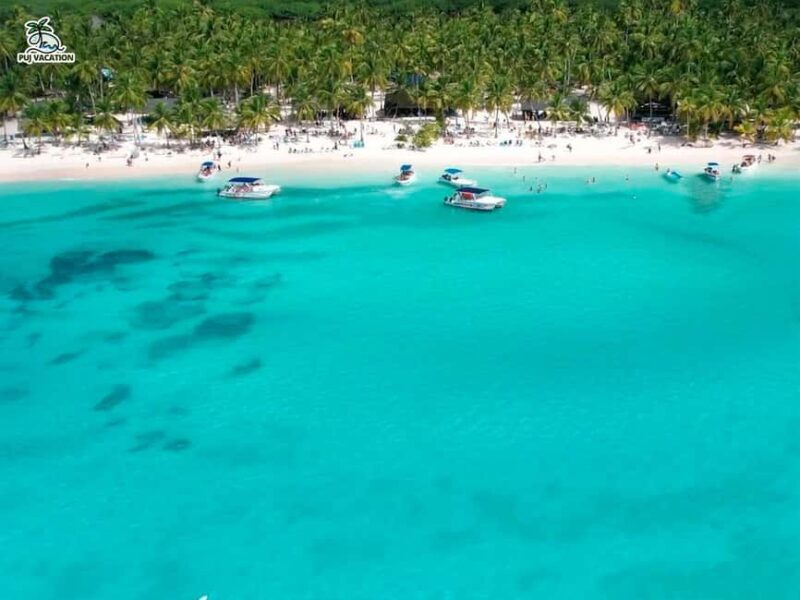 Discover Saona Island: Enjoy The Paradise - Swimming and Free Time