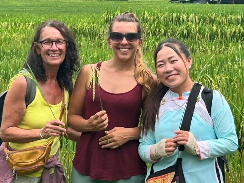 Discover Sapa: 1-day trek to Y Linh Ho, Lao Chai & Ta Van - Good To Know