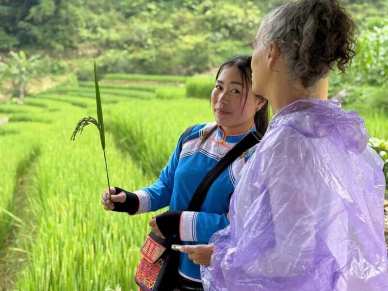 Discover Sapa: 1-day trek to Y Linh Ho, Lao Chai & Ta Van - Who Will Love This Tour?