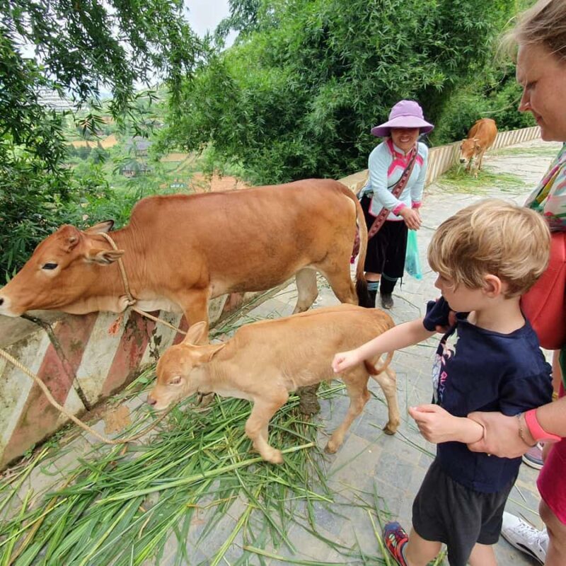 Discover Sapa: 1-day trek to Y Linh Ho, Lao Chai & Ta Van - Final Words