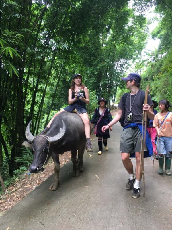 Discover Sapa: 1-day trek to Y Linh Ho, Lao Chai & Ta Van - FAQ