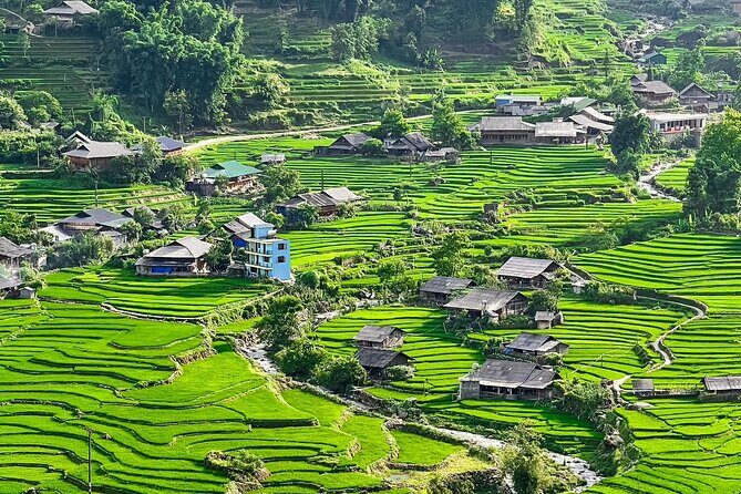 Discover Sapa: Guided Trek Through Rice Terraces & Local Villages - Good To Know