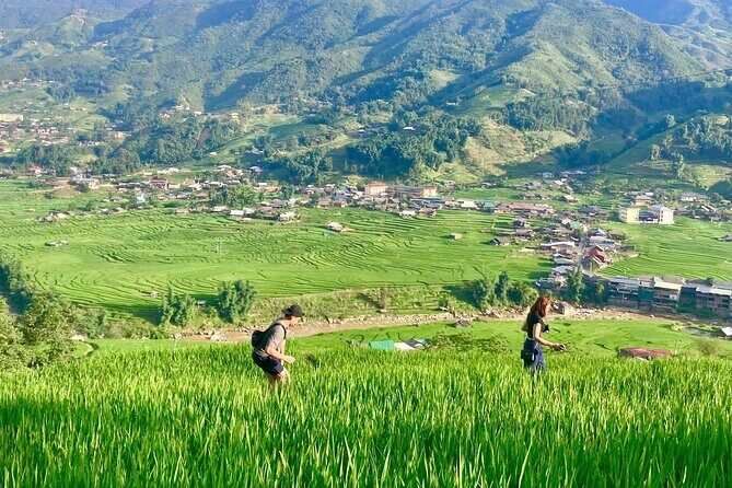 Discover Sapa: Guided Trek Through Rice Terraces & Local Villages - Practical Details for Planning