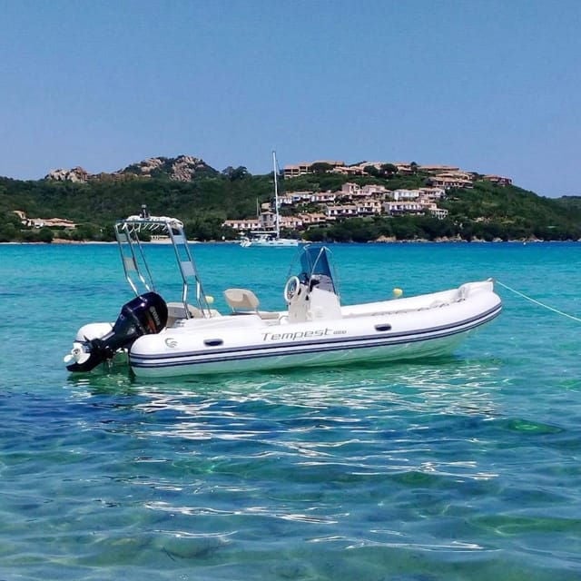 Discover Sardinia: Dolphin Watching and Capo Figari Tour - A Scenic Adventure in Sardinia’s Waters