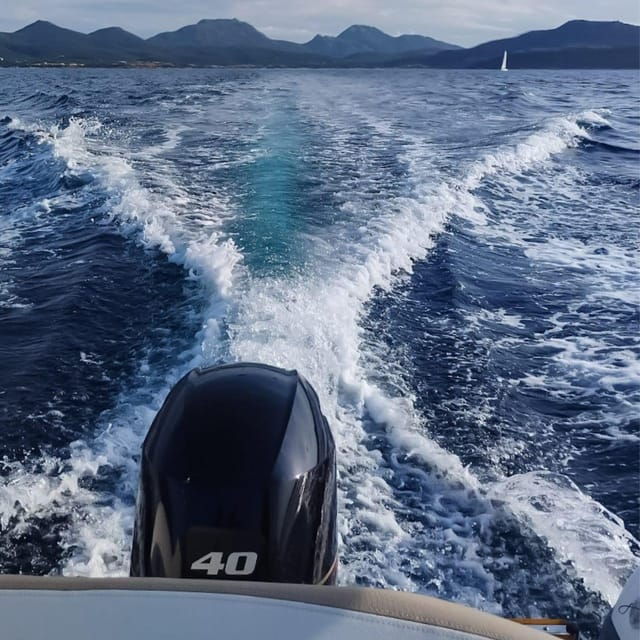 Discover Sardinia: Dolphin Watching and Capo Figari Tour - Practical Details and Tips