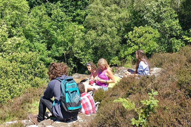 Discover Scotland Off the Beaten Track - Practical Information: Meeting Point, Pickup Details, and Cancellation Policy