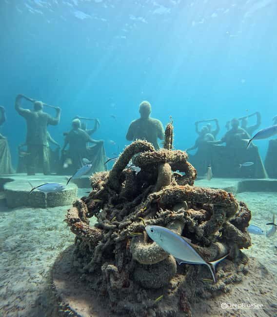 Discover Scuba at the Underwater Sculpture Park - The Value of the Experience