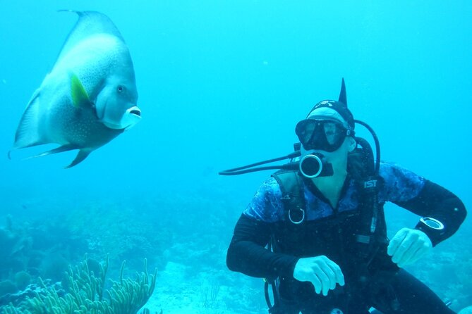 Discover Scuba - Directions