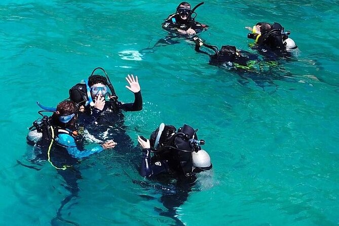 Discover Scuba Day Tour - Dive Safari Whitsundays - Cancellation Policy and Refunds