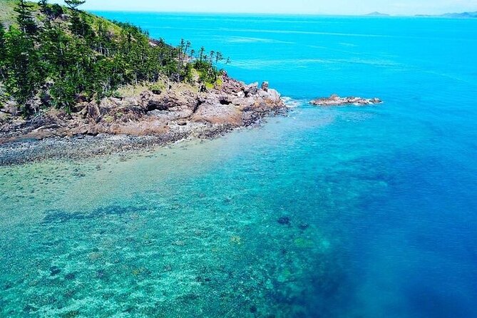 Discover Scuba Day Tour - Dive Safari Whitsundays - Essential Information for Booking