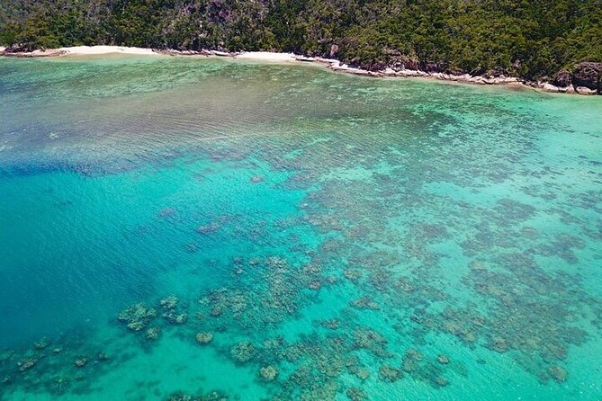 Discover Scuba Day Tour - Dive Safari Whitsundays - Common Questions