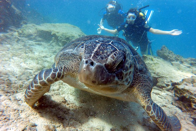 Discover Scuba Diving - Whats Included in the Experience
